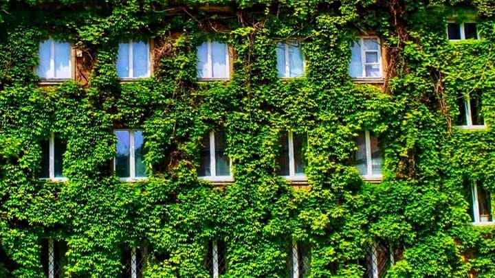 Greener buildings